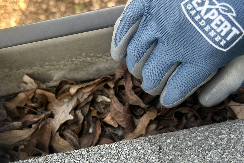 Gutter Cleaning Clemmons NC